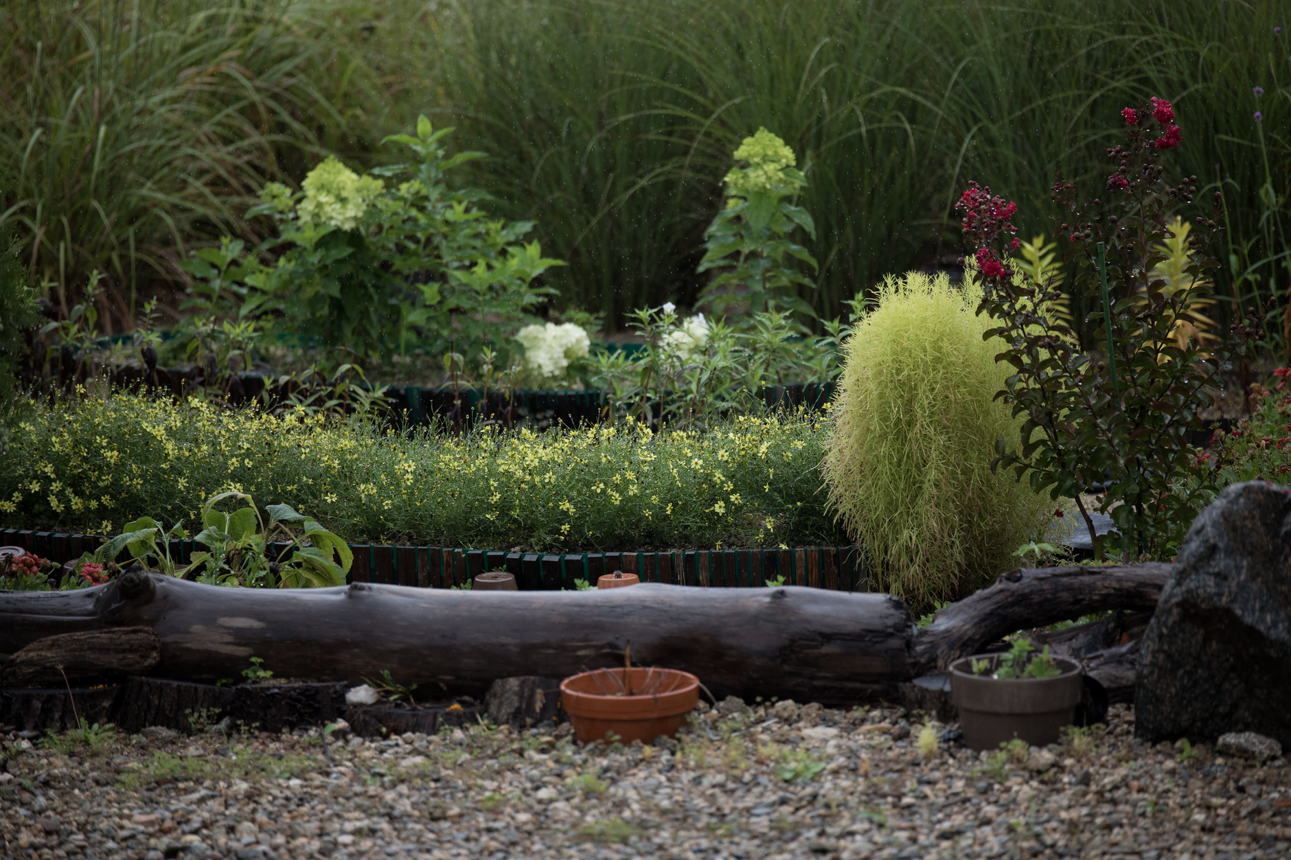Tree & Brush Removal — Garza landscape and junk removal